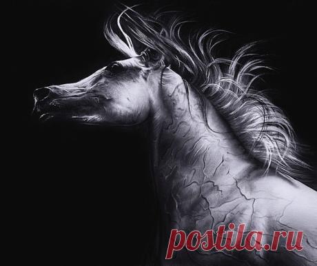 Белая лошадь by Marta Pulinska | ArtWanted.com