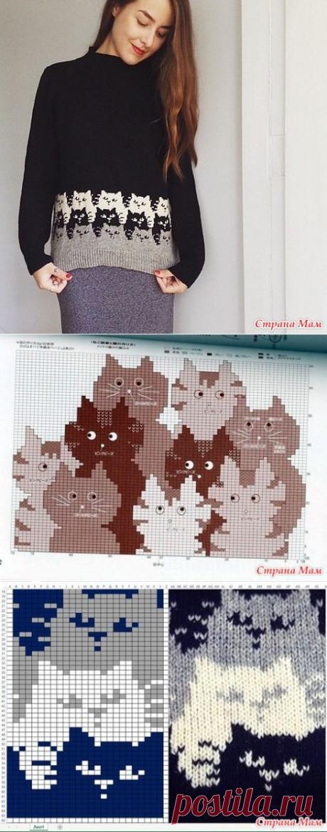 (55) Pinterest