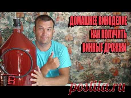 ВИНО ИЗ МАЛИНЫ. КАК ПОЛУЧИТЬ САМОСТОЯТЕЛЬНО ВИННЫЕ ДРОЖЖИ? ДОМАШНЕЕ ПЛОДОВО-ЯГОДНОЕ ВИНОДЕЛИЕ