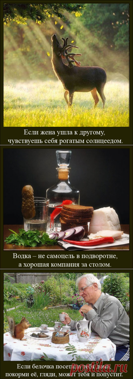 Кому ты сделал хуже, когда "сел в лужу"? Новые юмористические фразы и демотиваторы Александра Крутоуса