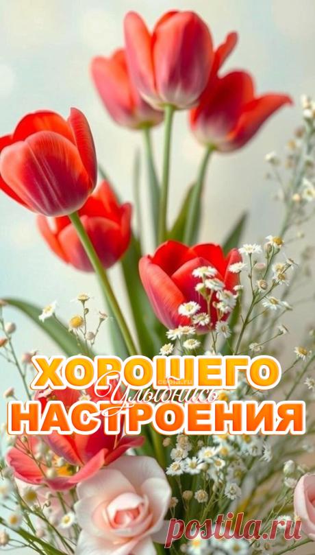 😃 150 Пожеланий Хорошего Настроения в красивых картинках открытках