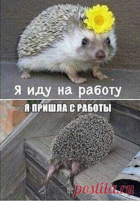 )