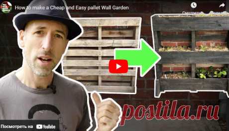 Видео:* How to make a Cheap and Easy pallet Wall Garden
