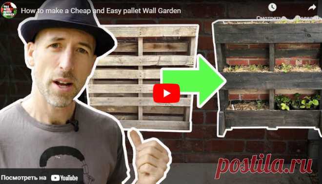 Видео:* How to make a Cheap and Easy pallet Wall Garden