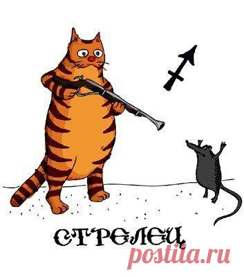 Девушка Стрелец: 32 тыс изображений найдено в Яндекс.Картинках