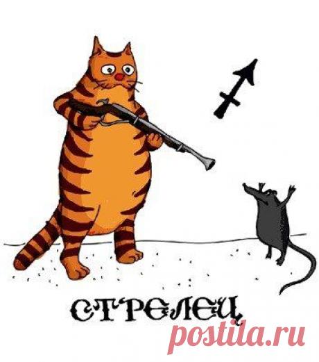 Девушка Стрелец: 32 тыс изображений найдено в Яндекс.Картинках