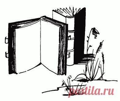 Персональный сайт Гомоновой Г.В. - Мудрые мысли великих