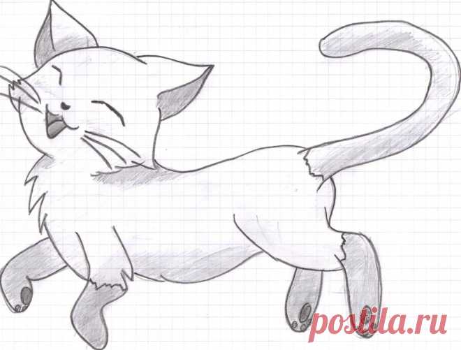 «Cat Drawing - Clip Art Library» — карточка пользователя slavashishaev в Яндекс.Коллекциях