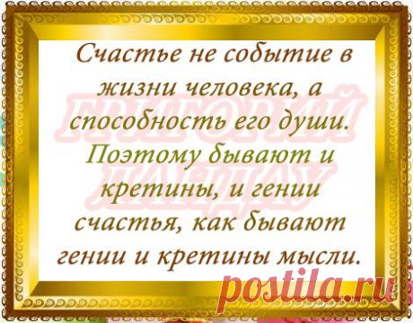 Tvoiaromat – Google+
