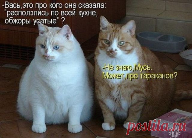 Мой Мир@Mail.Ru