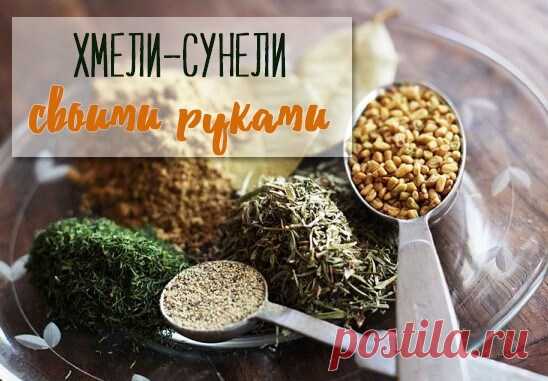 Хмели-сунели своими руками
