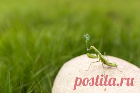 Подборка прикольных и интересных картинок №lublusebya-21231025042019 | Люблю Себя