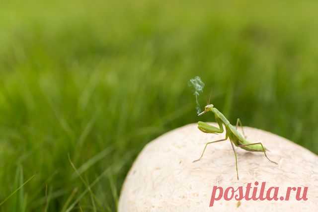 Подборка прикольных и интересных картинок №lublusebya-21231025042019 | Люблю Себя