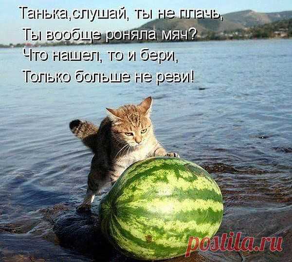 Мой Мир@Mail.Ru