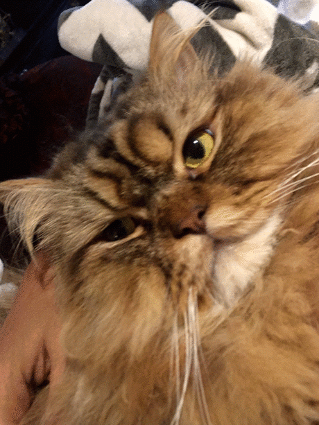 Suzy Kalai - Google+