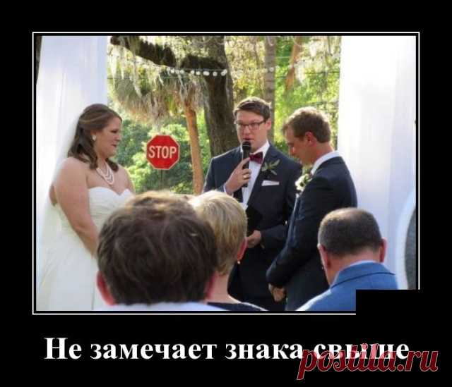 Демотиваторы №2174 (30 фото) Свежая ежедневная подборка фото приколов, смешных картинок и просто красивых и удивительных фотографий в ежедневной подборке, собранной со всего интернета.