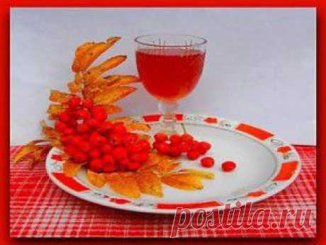 Рябина нервы укрепит и бессонницу прогонит - народные рецепты