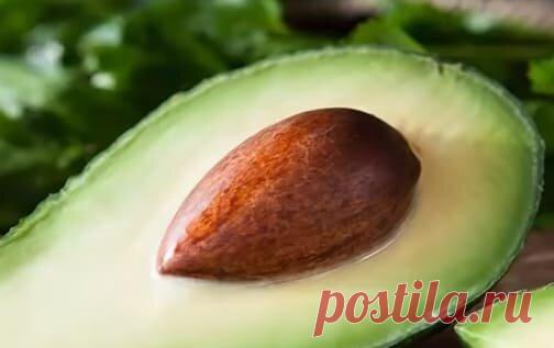 Как можно использовать косточку авокадо | Superorehi | Яндекс Дзен