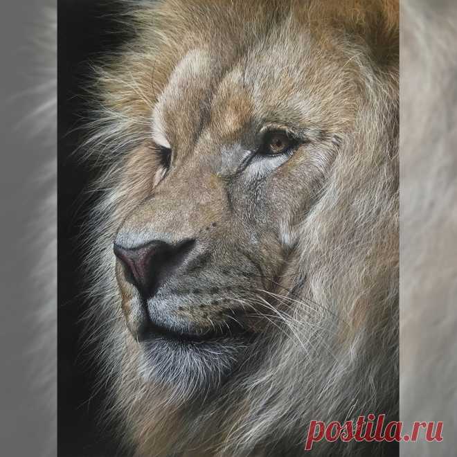 Лев - Фрилансер Elena LKSTUDIOART lk_design - Портфолио - Работа #4242206