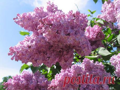 Кусочек лета!