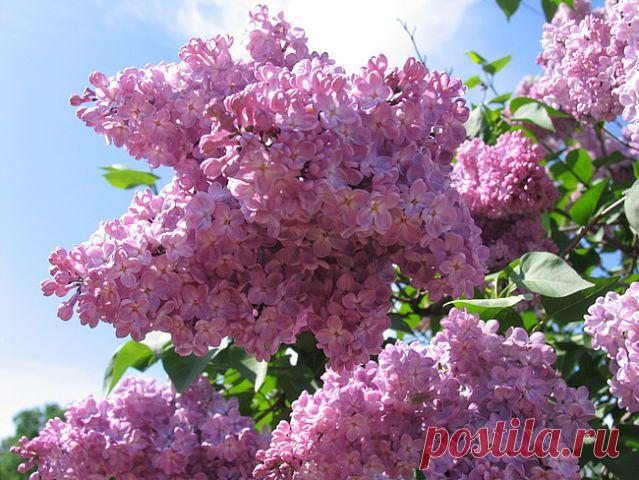 Кусочек лета!