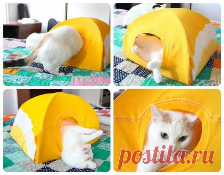Домик для кота