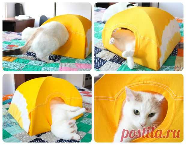 Домик для кота