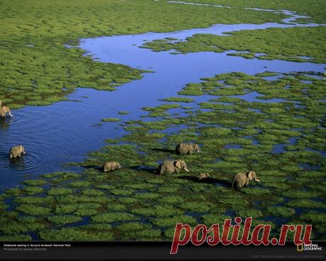 photography.nationalgeographic.com - StumbleUpon