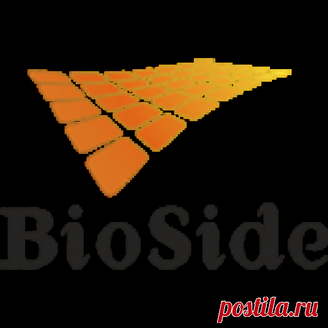 Биоподстилка BioSide 500 гр