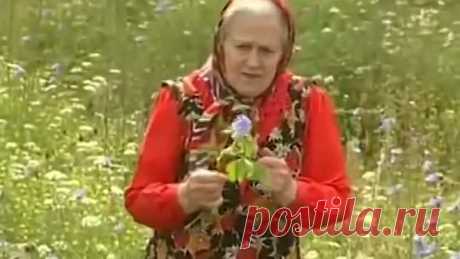 Советы и подсказки Зайцевой Е.Ф.