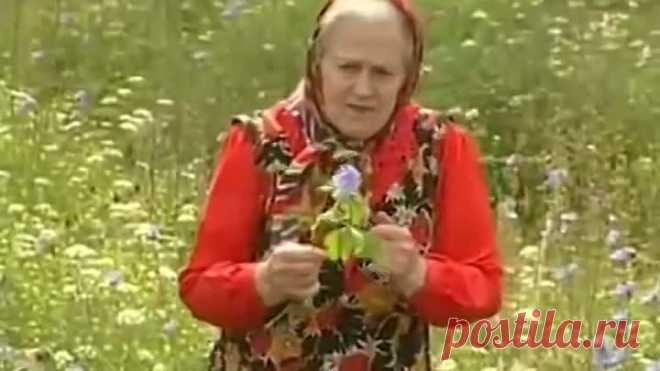 Советы и подсказки Зайцевой Е.Ф.