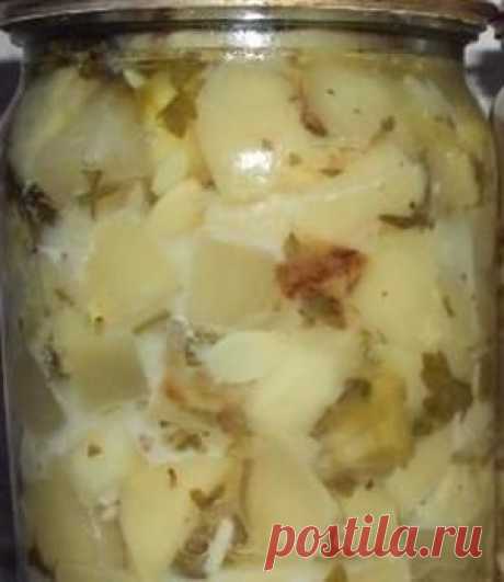 Кабачки как грибы