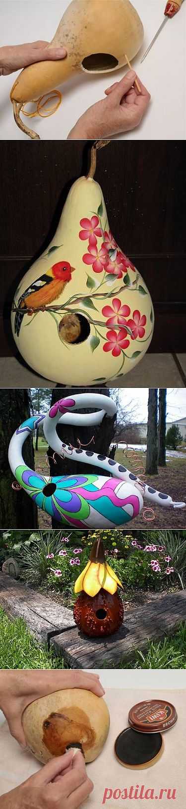 Скворечник из лагенарии / Журнал садовода  Yuliay / 7dach.ru