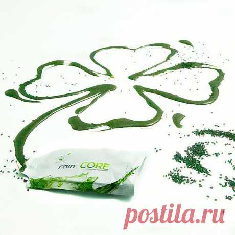 О компании Rain international