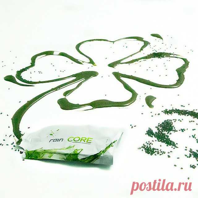 О компании Rain international