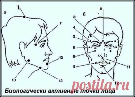 Биологически активные точки на голове - ваша скорая помощь !.