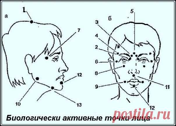 Биологически активные точки на голове - ваша скорая помощь !.