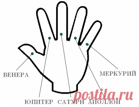 ЗНАЧЕНИЕ ПАЛЬЦЕВ РУК В ХИРОМАНТИИ.