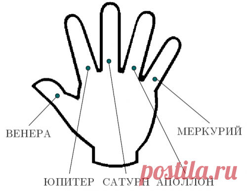 ЗНАЧЕНИЕ ПАЛЬЦЕВ РУК В ХИРОМАНТИИ.