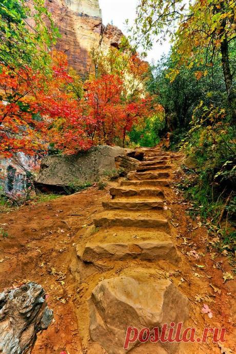 Zion Staircase Print by Clint Losee