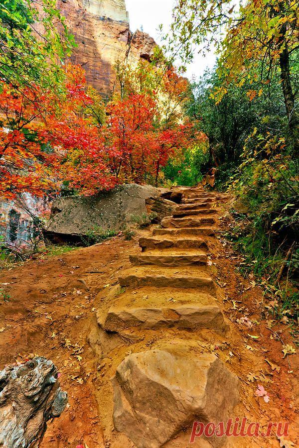 Zion Staircase Print by Clint Losee