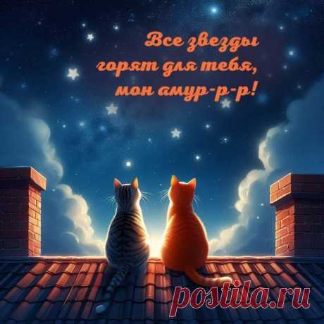 В День святого Валентина,
Праздника нежнейших слов,
Пусть идут разлуки мимо,
В дверь стучится лишь любовь!