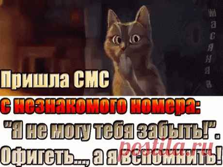 Фотографии ツ♫ 💘♫Пусть каждый день с улыбки начинается!ツ♫ 💘♫ - 10000 фото в Моем Мире.