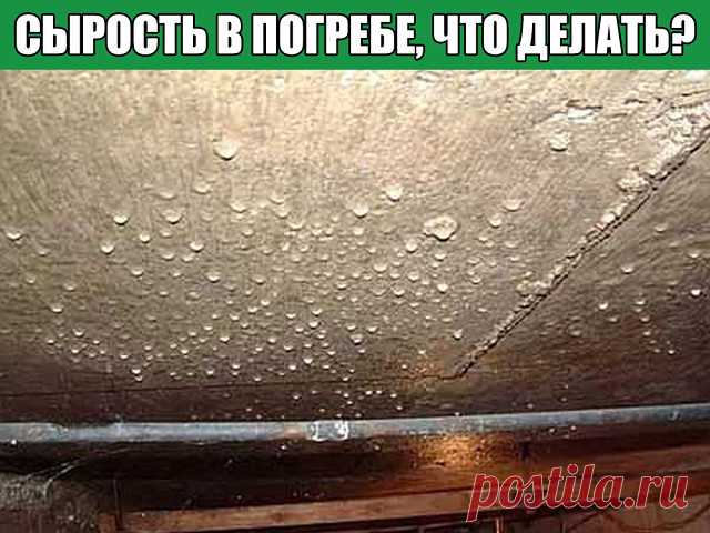 Сырость в погребе, что делать?

Владельцы загородных домов, как правило, имеют в своем распоряжении погреба, где хранят все свои заготовки и запасы урожая. Однако такие погреба очень часто бывают сырыми. И это достаточно опасная проблема, поскольку в сыром помещении абсолютно не хранятся овощи и другие припасы на зиму.
К тому же, на фоне сырости нередко начинает развиваться плесень или грибок, появление которых может привести к серьезным проблемам со здоровьем владельцев п...