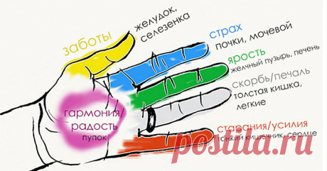 МАССИРУЯ ПАЛЕЦ ПО 1 МИНУТЕ В ДЕНЬ, ВЫ ПОРАЗИТЕСЬ ТОМУ, ЧТО СЛУЧИТСЯ С ВАШИМ ТЕЛОМ