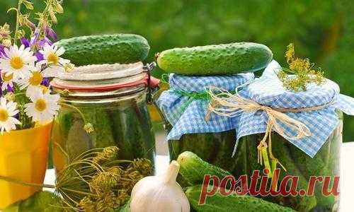 Рецепт заготовки огурцов 