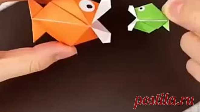 video-35822250_456254222