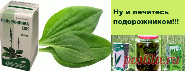 Ну и лечитесь подорожником! | Советы целительницы