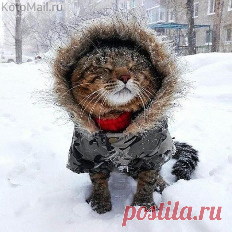 Снег, снежок белая метелица...