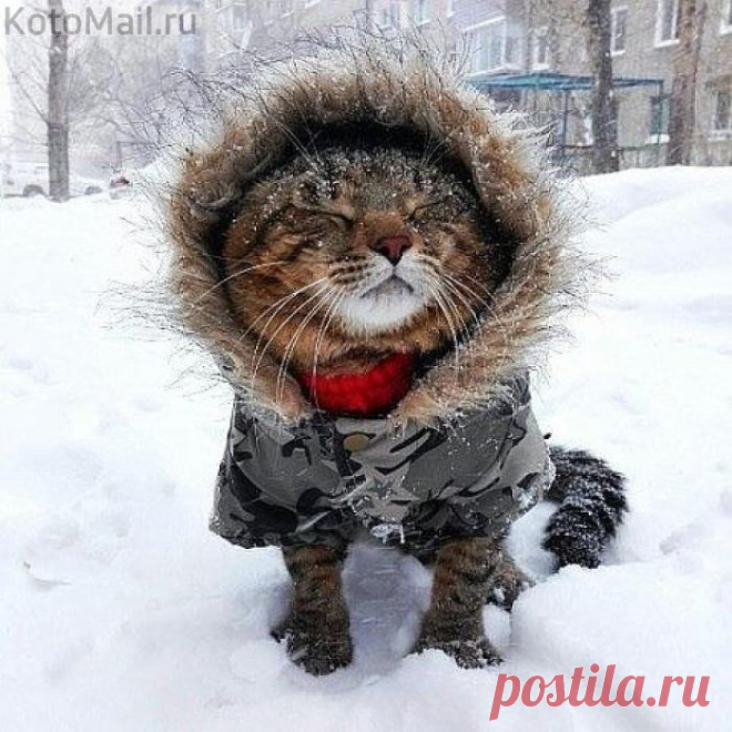 Снег, снежок белая метелица...